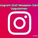 Instagram Gizli Hesap Görme APK İndir (Bedava)